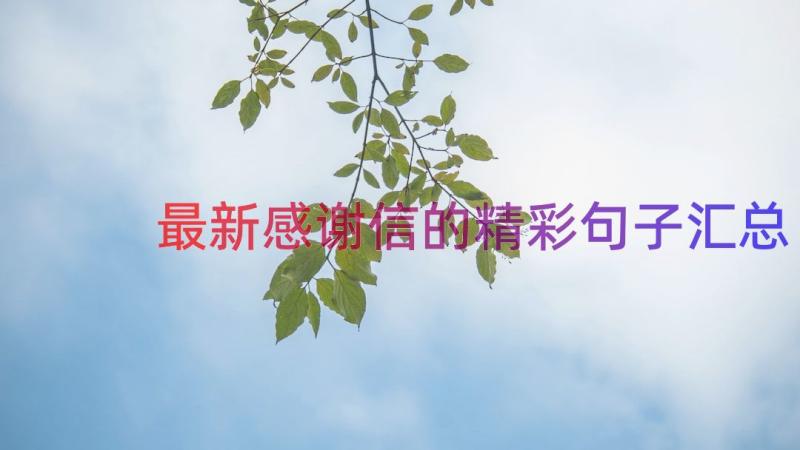 最新感谢信的精彩句子（汇总16篇）