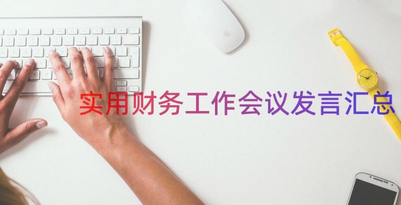 实用财务工作会议发言（汇总13篇）