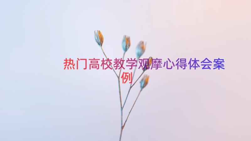 热门高校教学观摩心得体会（案例17篇）