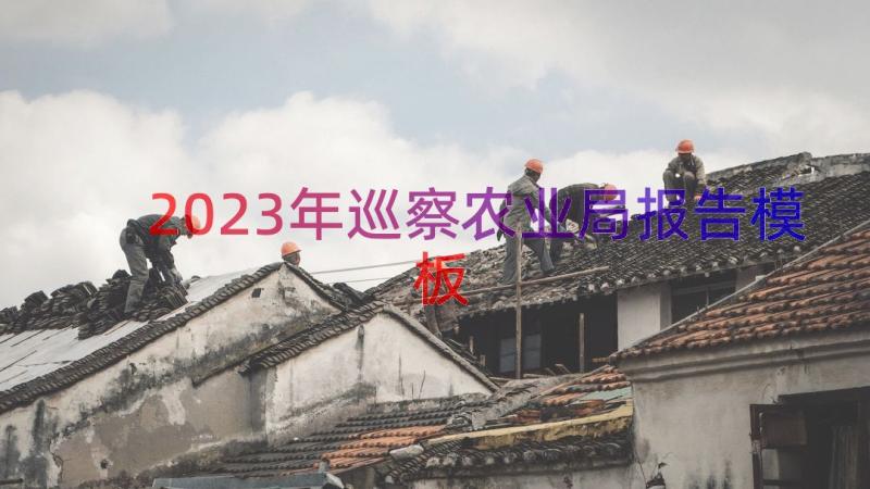 2023年巡察农业局报告（模板16篇）