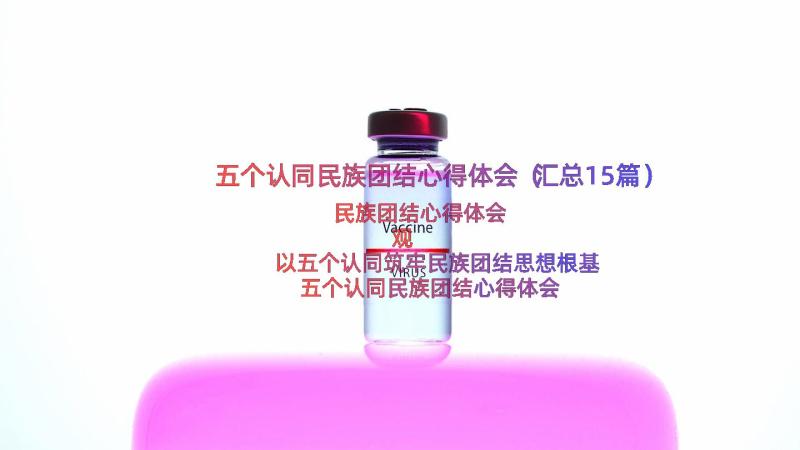 五个认同民族团结心得体会（汇总15篇）