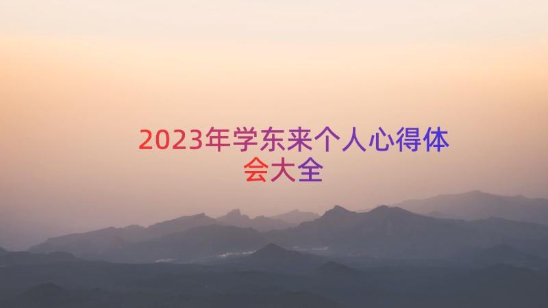 2023年学东来个人心得体会大全（19篇）