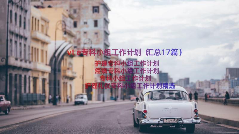 vte专科小组工作计划（汇总17篇）