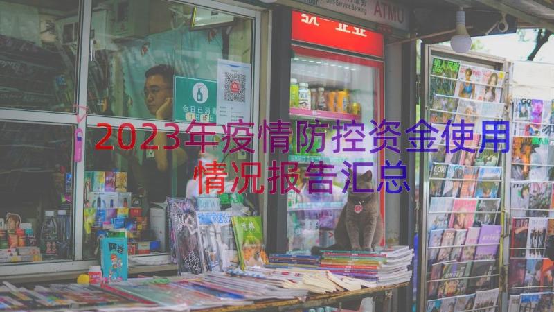 2023年疫情防控资金使用情况报告（汇总18篇）