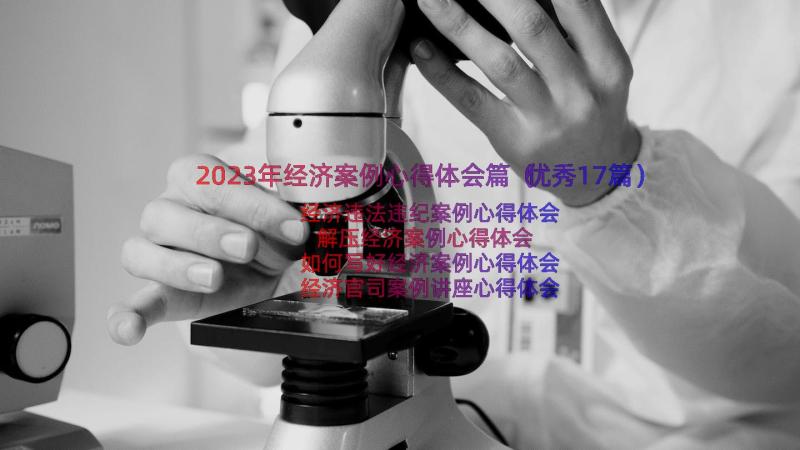 2023年经济案例心得体会篇（优秀17篇）