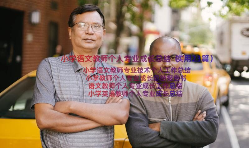 小学语文教师个人专业成长总结（实用23篇）