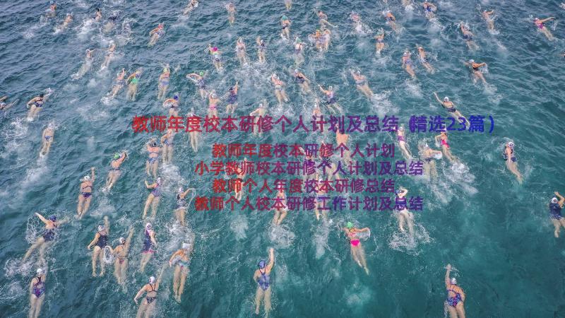 教师年度校本研修个人计划及总结（精选23篇）