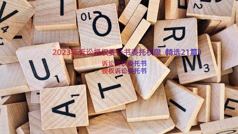 2023年诉讼授权委托书委托权限（精选21篇）