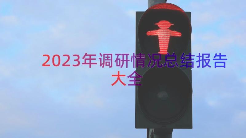 2023年调研情况总结报告大全（15篇）