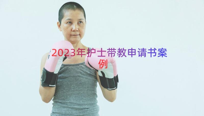 2023年护士带教申请书（案例16篇）