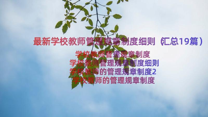 最新学校教师管理规章制度细则（汇总19篇）