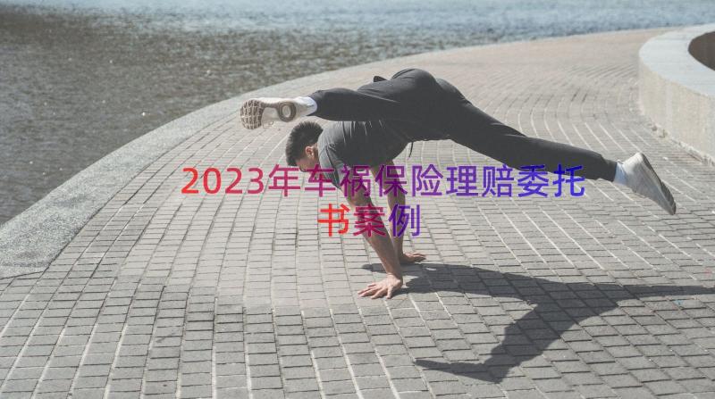 2023年车祸保险理赔委托书（案例19篇）