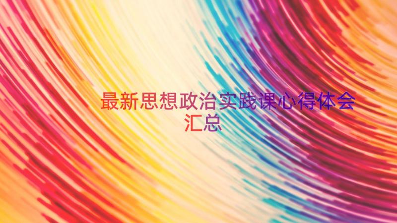 最新思想政治实践课心得体会（汇总18篇）