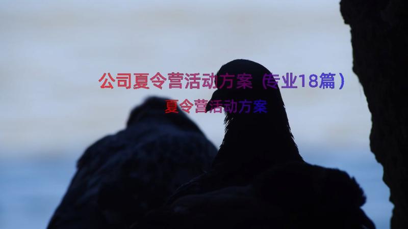 公司夏令营活动方案（专业18篇）