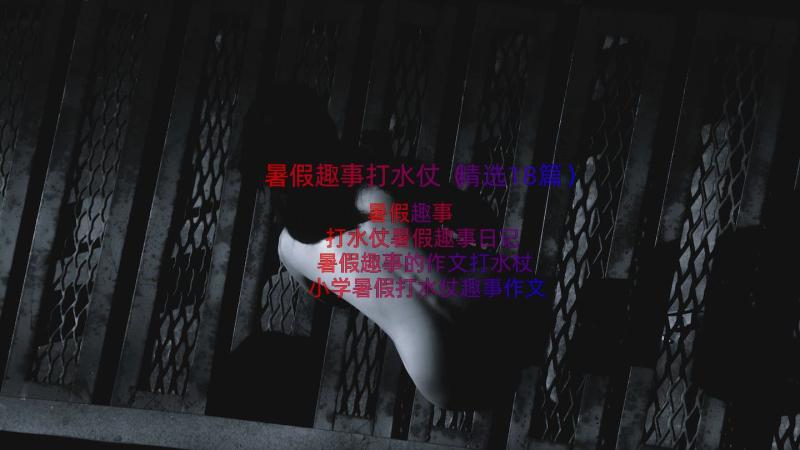 暑假趣事打水仗（精选18篇）