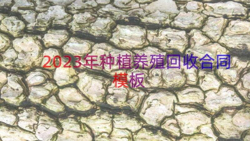 2023年种植养殖回收合同（模板15篇）