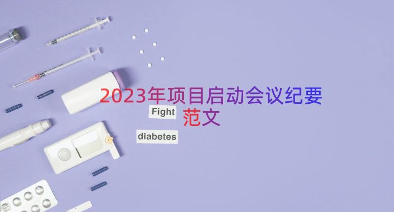 2023年项目启动会议纪要范文（17篇）