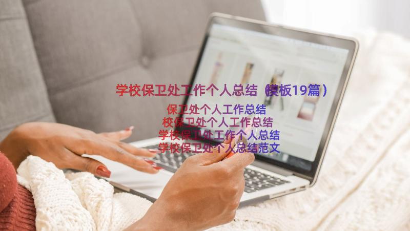 学校保卫处工作个人总结（模板19篇）