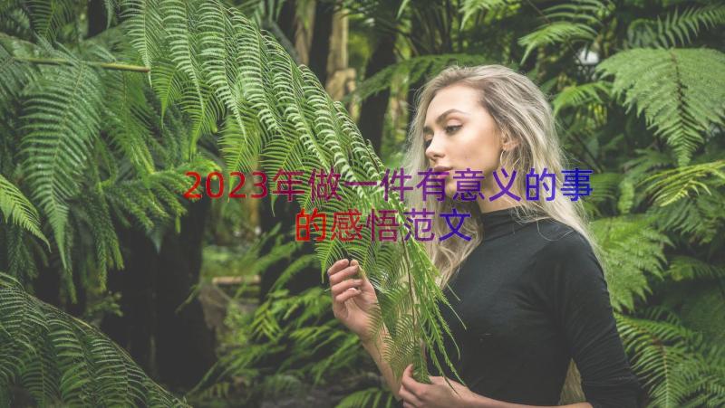 2023年做一件有意义的事的感悟范文（13篇）