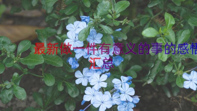 最新做一件有意义的事的感悟（汇总12篇）