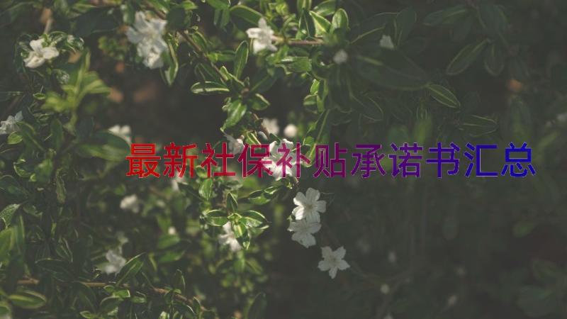 最新社保补贴承诺书（汇总12篇）