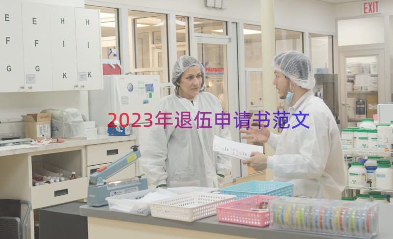 2023年退伍申请书范文（14篇）