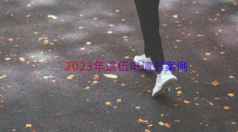 2023年退伍申请书（案例21篇）