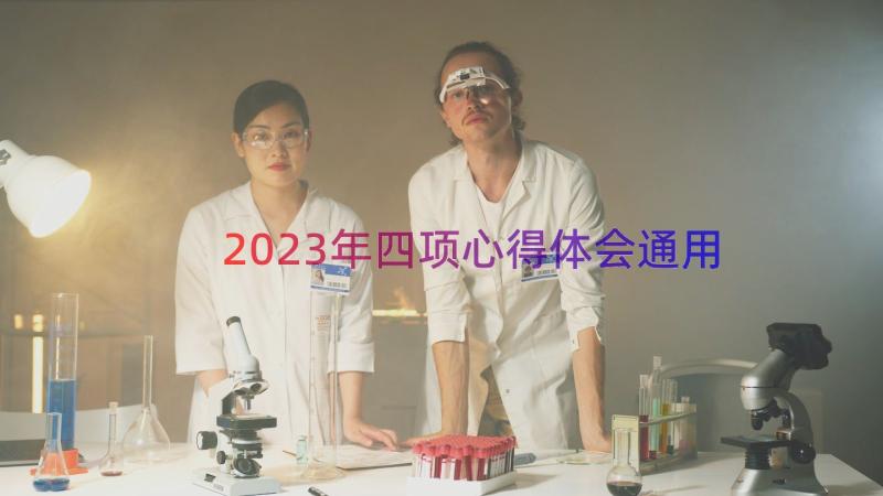 2023年四项心得体会（通用15篇）