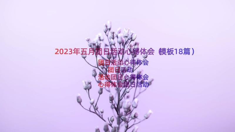 2023年五月团日活动心得体会（模板18篇）