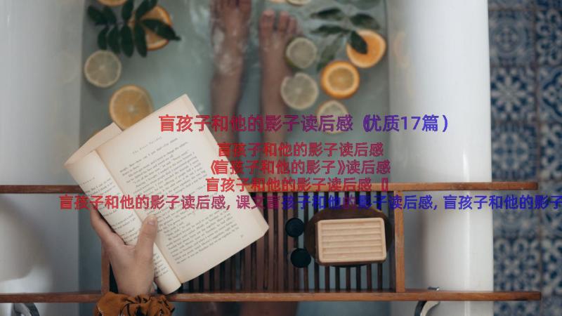 盲孩子和他的影子读后感（优质17篇）