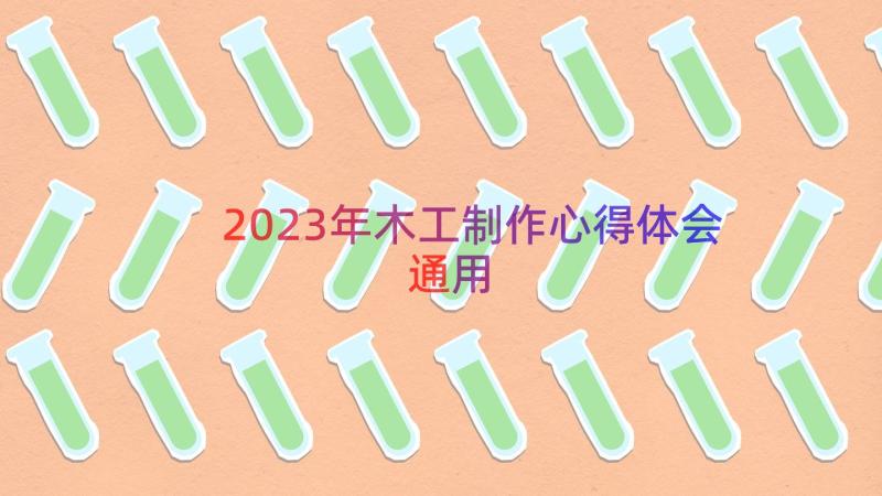 2023年木工制作心得体会（通用14篇）