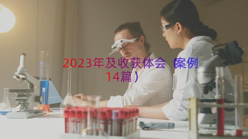 2023年及收获体会（案例14篇）