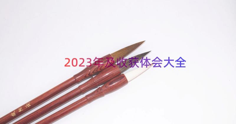 2023年及收获体会大全（17篇）