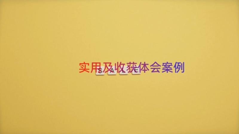 实用及收获体会（案例16篇）