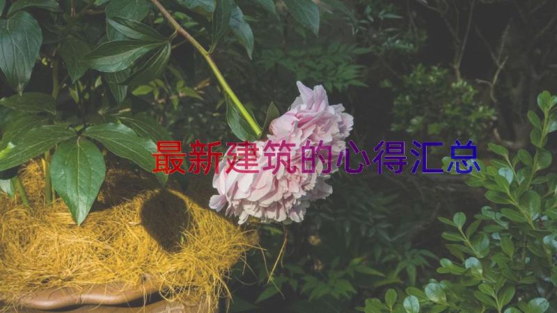 最新建筑的心得（汇总12篇）