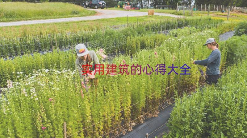 实用建筑的心得大全（18篇）