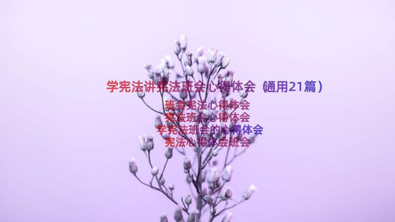 学宪法讲宪法班会心得体会（通用21篇）