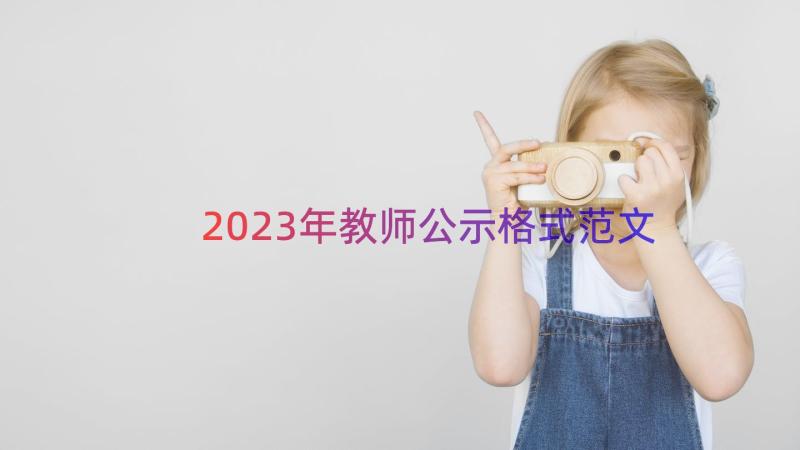 2023年教师公示格式范文（15篇）