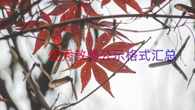 优秀教师公示格式（汇总16篇）