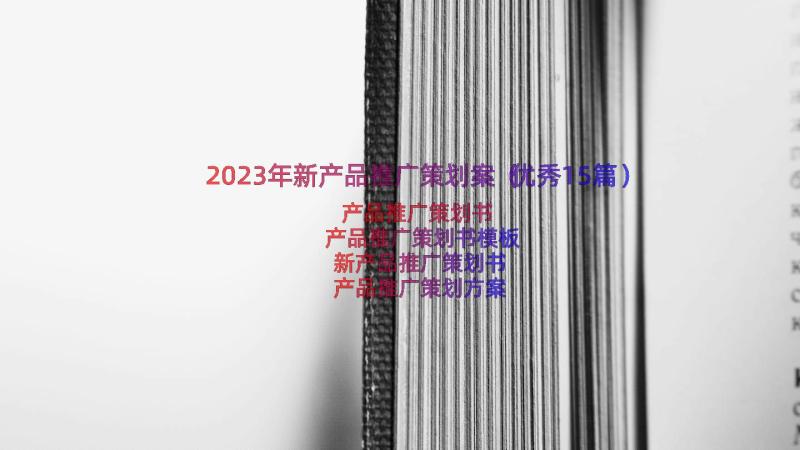 2023年新产品推广策划案（优秀15篇）