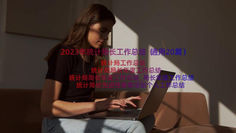 2023年统计局长工作总结（通用20篇）