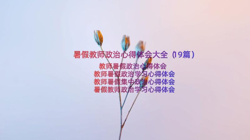 暑假教师政治心得体会大全（19篇）