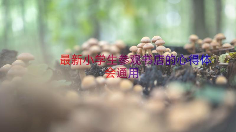 最新小学生参观书店的心得体会（通用16篇）