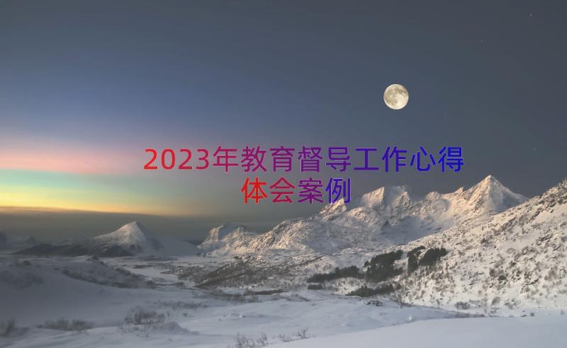 2023年教育督导工作心得体会（案例12篇）