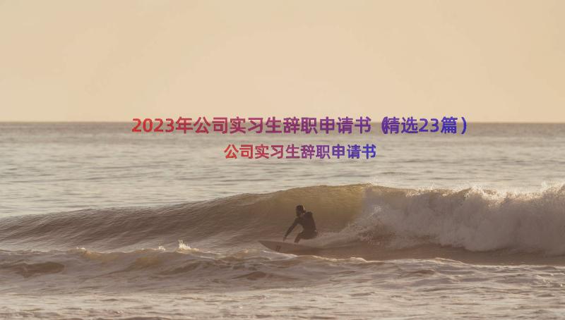 2023年公司实习生辞职申请书（精选23篇）