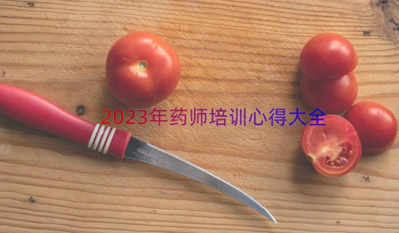 2023年药师培训心得大全（15篇）