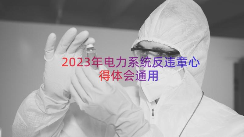 2023年电力系统反违章心得体会（通用20篇）