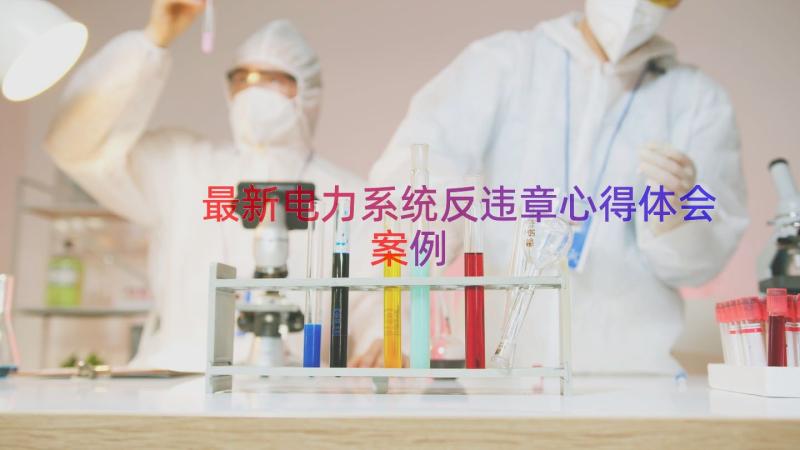 最新电力系统反违章心得体会（案例15篇）