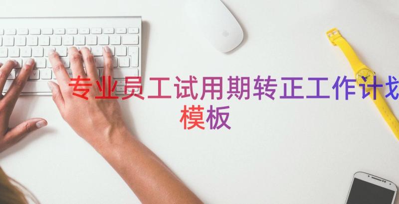 专业员工试用期转正工作计划（模板12篇）