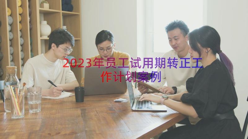 2023年员工试用期转正工作计划（案例17篇）